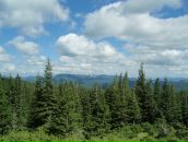 Андрій Копцюх фотография #14 (источник - https://vk.com/id5111309)