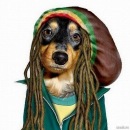 Фотография Дацькова Дениса