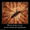 Діма Балагурчик фотография #41 (источник - https://vk.com/id145534037)