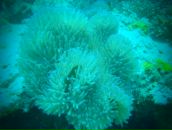 Евгений Мурышкин фотография #44 (источник - https://vk.com/id107583)