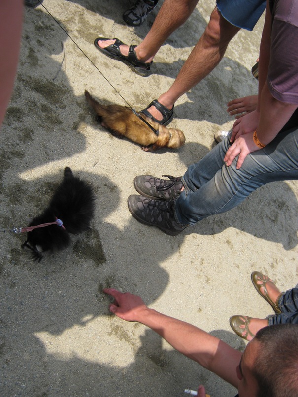 Сергей Савельев фотография #41