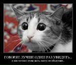 Фотография Лёзова Александра