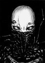 Тарас Бєдный фотография #44 (источник - https://vk.com/id158058669)