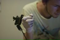 Фотография  