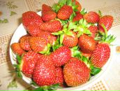 Фотография Купцовой Татьяны