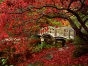 Надія Триленко фотография #28 (источник - https://vk.com/id40939483)