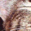 Вова Підпалий фотография #25 (источник - https://vk.com/id150487699)