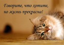 Фотография Алексеевой Наталии