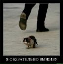 Іра Шрамук фотография #34 (источник - https://vk.com/id158258071)