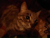 Фотография Каримова Фаниса