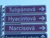 Фотография Архиповой Елены