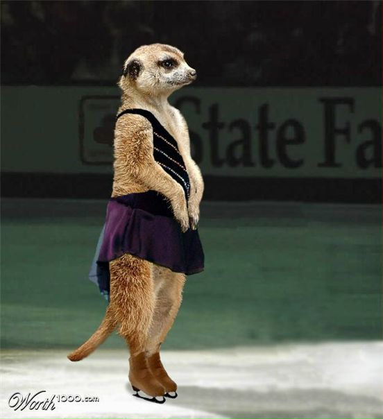 Катя Ноженко фото №15