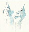 كوزان دانيال фотография #28 (источник - https://vk.com/id261110220)