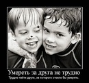 Міша Біба фотография #29 (источник - https://vk.com/id299921279)