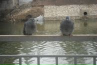 Фотография Нарыковой Галины