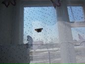 Фотография Старочкиной Виктории