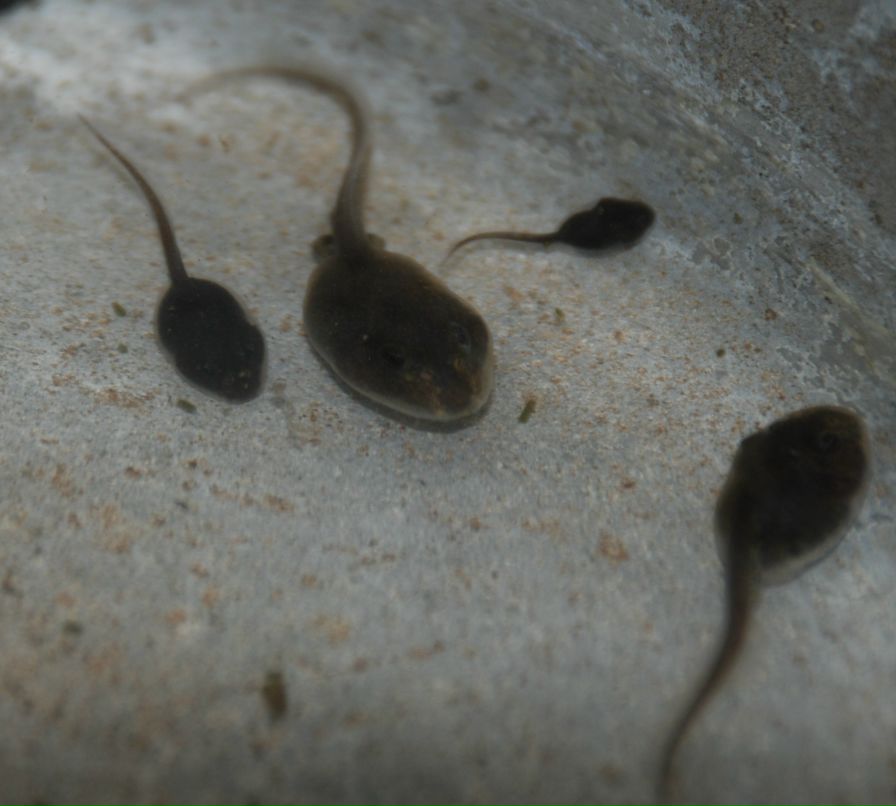 Илья Ткаленко фотография #39