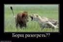 Фотография Бархатовой Екатерины