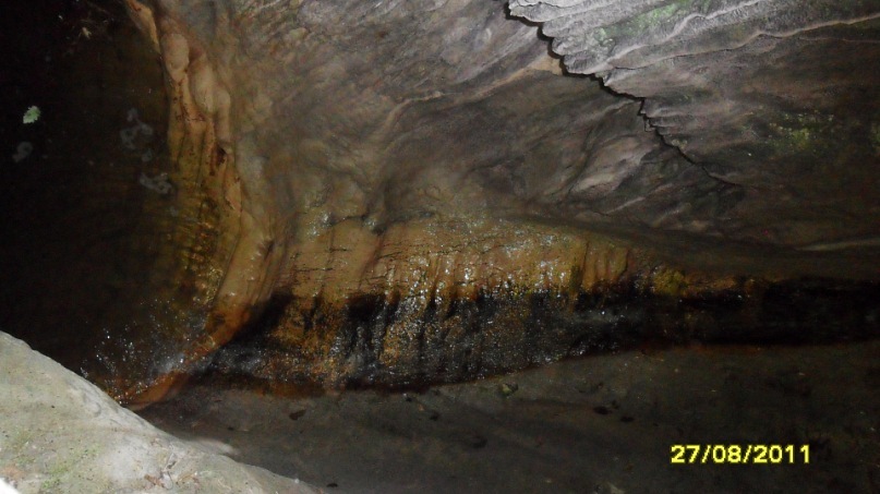 Ольга С фотография #45