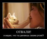 Валік Зінчук фотография #33 (источник - https://vk.com/id94820243)