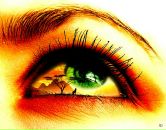 Фотография Солиной Елены