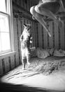 Фотография Потоцкой Ольги