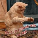 Фотография Титовой Анны