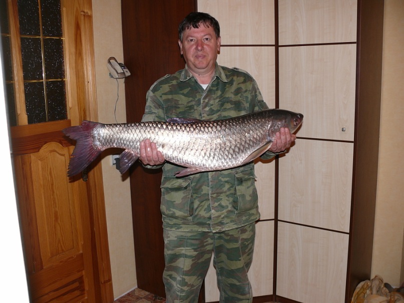 Юрий Бышенко фотография #1