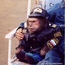 Фотография Дживовского Владимира