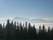 Наталія Шимон фотография #33 (источник - https://vk.com/id12474789)