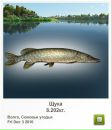 Вадім Юрчак фотография #11 (источник - https://vk.com/id53270129)