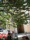Вероніка Краковецька фотография #39 (источник - https://vk.com/id87034958)