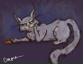 Кіт Шредингера фотография #22 (источник - https://vk.com/id4579307)