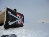 Фотография Терентьева Таня