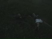 Сергій Сенів фотография #30 (источник - https://vk.com/id52258393)
