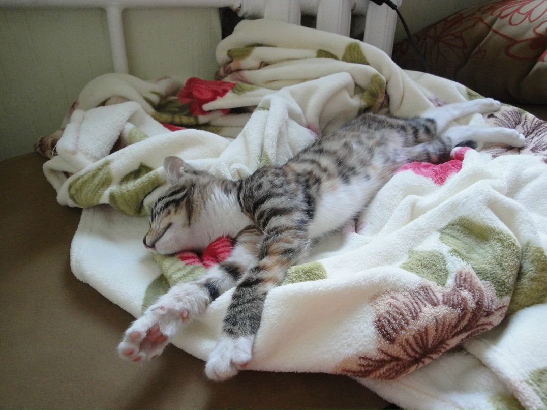 Полина Fullmoon фотография #21