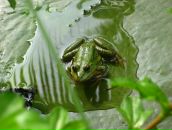 Фотография Осоченко Софии