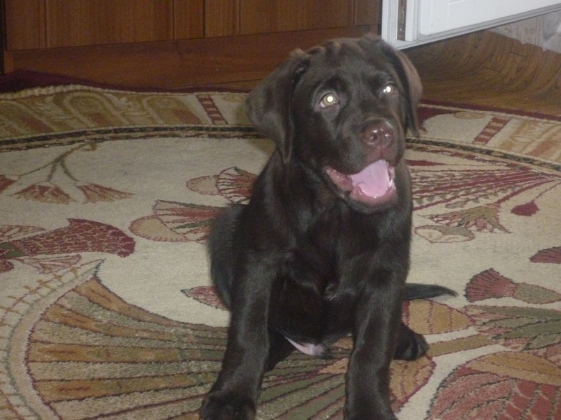 Кирилл Озолин фотография #47