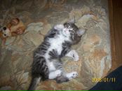 Андрей Поляков фотография #26 (источник - https://vk.com/id2800546)