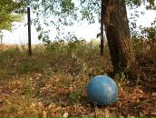 Фотография Поздняковой Маши