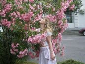 Фотография Чекановой Юли