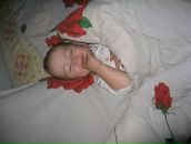 Фотография Дмитращук Инны