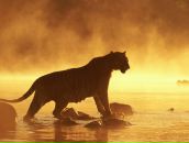 Фотография Дашкевича Руслана