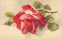 Фотография Смирновой Юлии