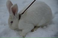 Світлана Мудра фотография #41 (источник - https://vk.com/id16548406)