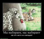 Євгеній Пугач фотография #50 (источник - https://vk.com/id23353007)