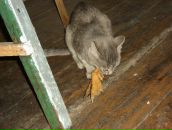 Екатерина Шульга фотография #35 (источник - https://vk.com/id63509643)