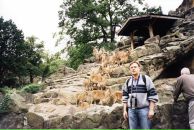 Сергей Кожевников фотография #12 (источник - https://vk.com/id340468)