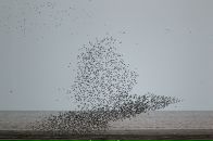 Мариам Давыдова фотография #40 (источник - https://vk.com/id900346)