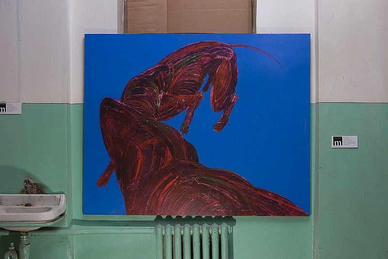 Лейли Асланова фотография #34